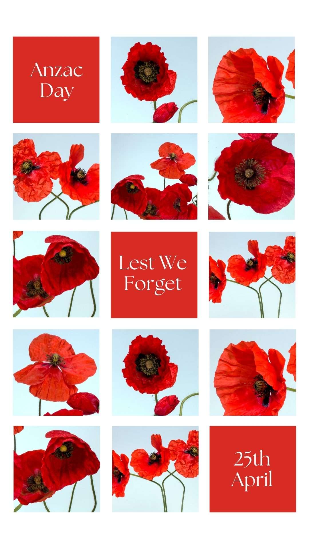 Bright Red & Blue April Poppies Anzac Day Canva Template