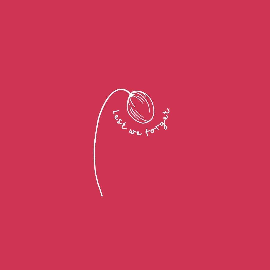 Red & White Line Drawing Anzac Poppy Instagram Post
